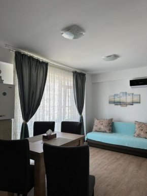 Apartament Adelin